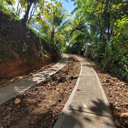 Private Jungle “Loft Del Rio” River Access Uvita Exterior foto