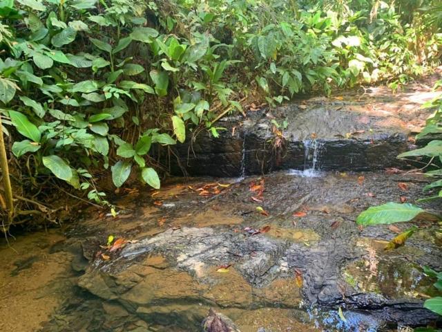 Private Jungle “Loft Del Rio” River Access Uvita Exterior foto